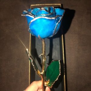 24k Gold Dipped Blue Rose